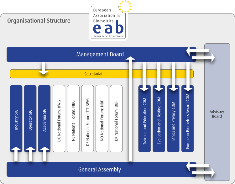 Organisational Structure